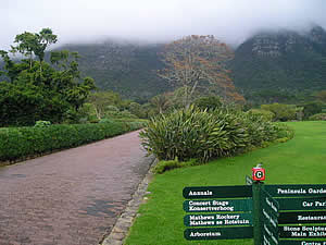 Constantia is also home to Kirstenbosch Botanic Gardens, a "must-visit" for those with an interest in South Africa's beautiful indigenous flora.  Find Constantia Cape Town accommodation on our Constantia Cape Town accommodation page.