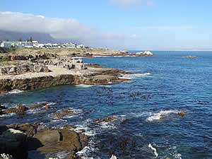 The coastline of Hermanus is mostly cliffs and rocks with a succession of small bays.  It is this feature which has made Hermanus the premier whale watching venue in South Africa.  Find Hermanus accommodation on our Hermanus accommodation page.