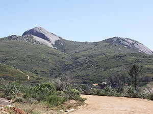 Paarl Rock is a massive granite intrusion at the top of Paarl (Pearl) Mountain, beneath which the town of the same name stands, the largest town in the Cape Winelands.  Find Paarl accommodation on our Paarl accommodation   page.