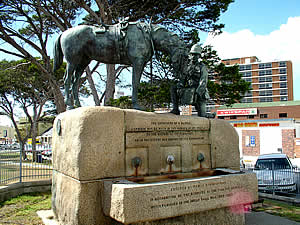 In addition to architecture, Port Elizabeth also offers a number of interesting monuments, one of most poignant being the Horse Memorial which commemmorates all the horses that died (on both sides) during the Anglo-Boer War. Find Port Elizabeth accommodation on our Port Elizabeth accommodation page.