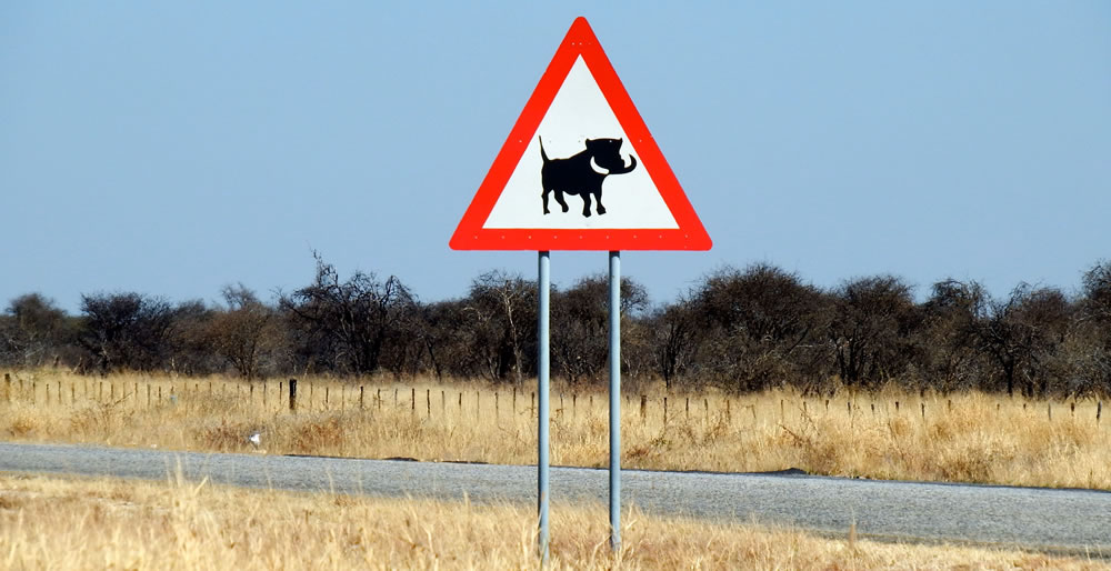 Namibia Road Network Warthog Warning Sign