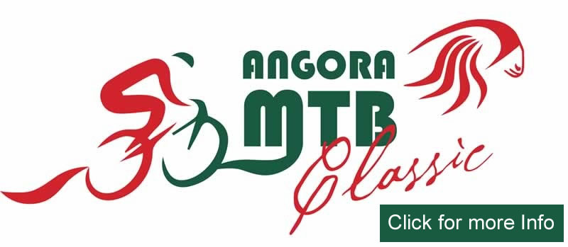 Angora Classic 2021