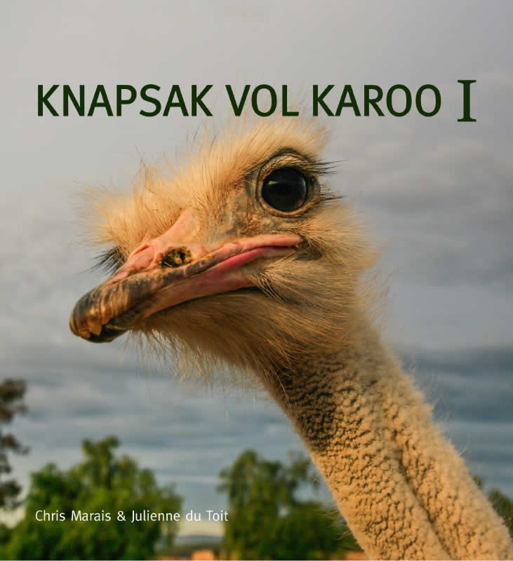 knapsak_karoo_i.jpg